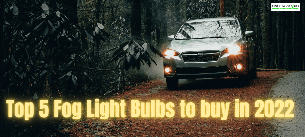 Top Five Fog Light Bulbs to Buy in 2022