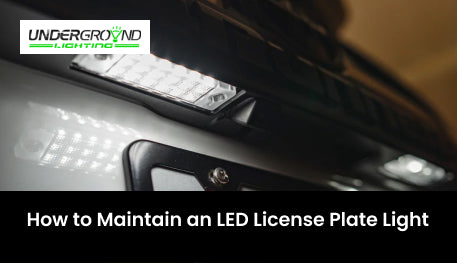 How to Maintain a LED License Plate Light?