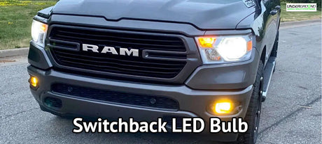 SWITCHBACK LED BULB