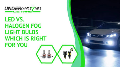 LED vs. Halogen Fog Light Bulbs: Which Is Right for You?